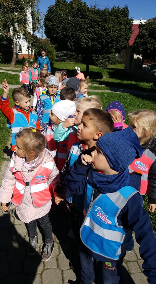 43173580 2155257544721984 6969826550891937792 n 2155257541388651